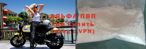 стаф Вязьма