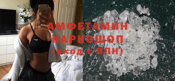 стаф Вязьма