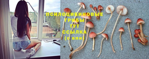 спайс Володарск