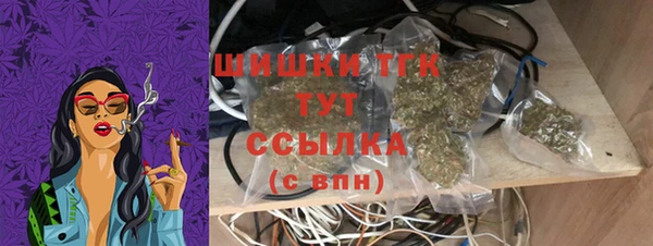 стаф Вязьма