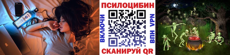 Псилоцибиновые грибы Psilocybine cubensis  Купить  Сретенск 